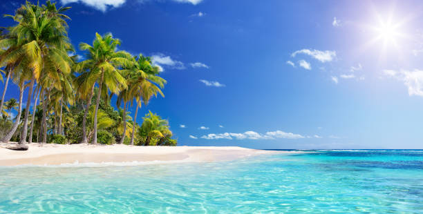 awesome beach